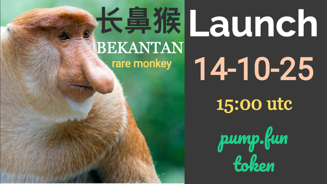 长鼻猴 (bekantancoin) tweet media