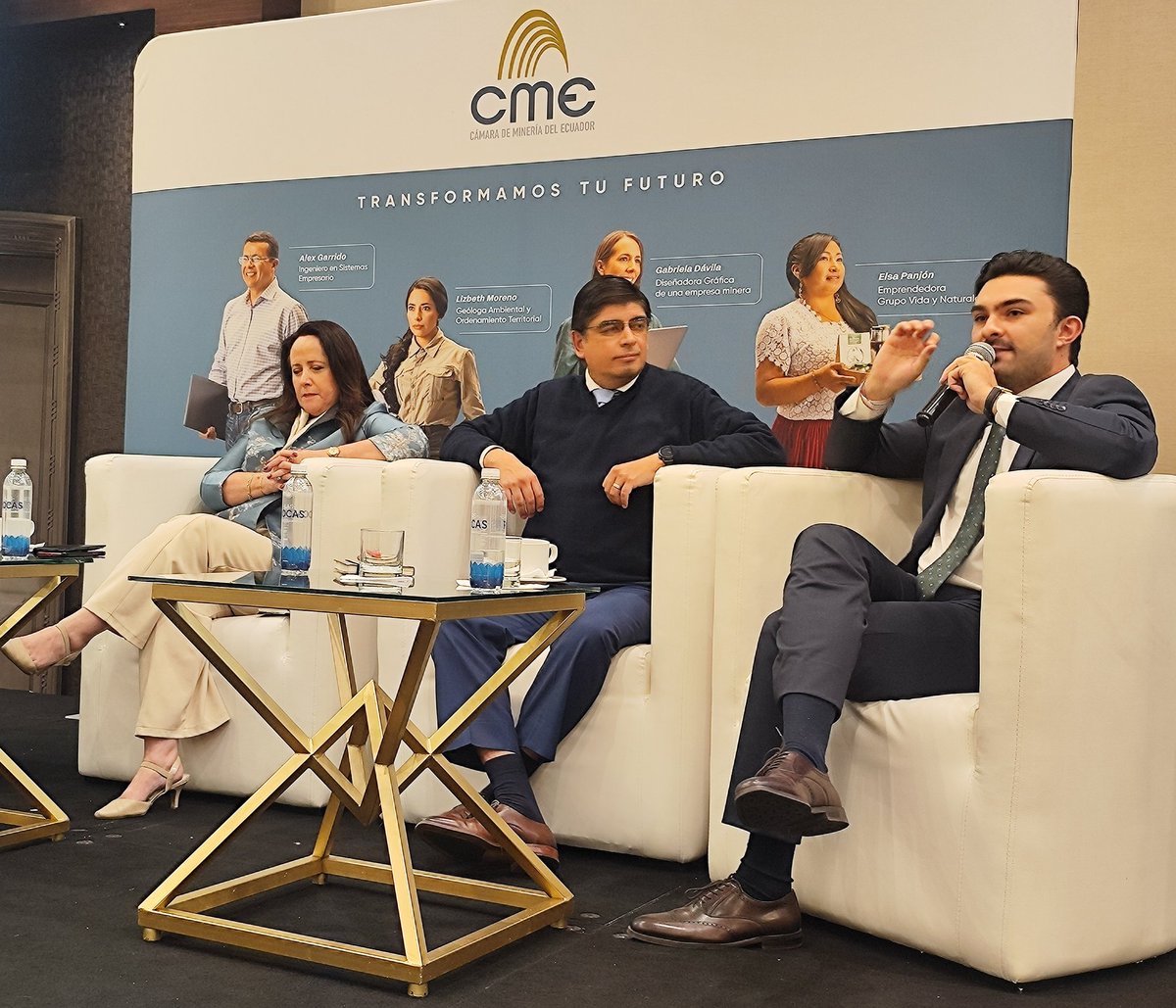 La Cámara de Minería quiere bajarse la Constitución de Montecristi. viaminera.com/opinioacuten.h…