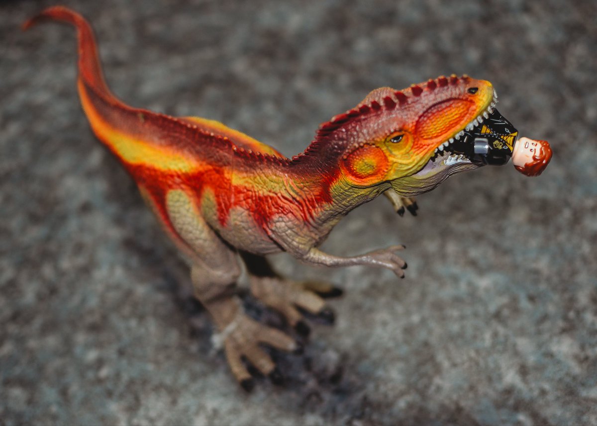 MrsNLParker's tweet image. Photography elective students nailing their first attempt using DSLR cameras today 📷