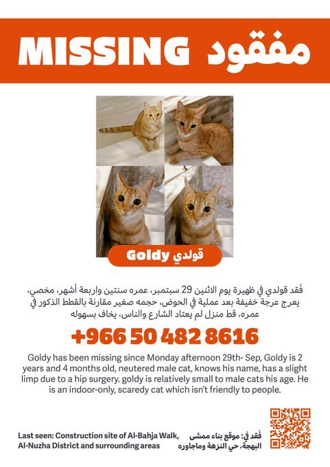 AppMafqud's tweet image. عبر الخاص|

مفقود قط قولدي عمره سنتين واربعة اشهر، مخصي، يعرج عرجة خفيفة بعد عملية في الحوض، حجمه صغير مقارنة بالقطط الذكور في عمره، قط منزل لم يعتاد الشارع والناس، يخاف بسهولة
مفقود في موقع بناء ممشى البهجة، حي النزهة
رقم التواصل: 966504828616

#مفقود
@J_ALedeib