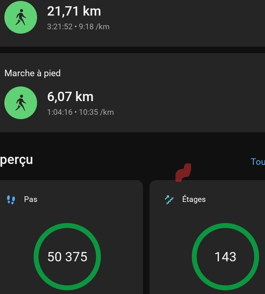 Mes pas et activités du jour 💫 <a href="/Lucy51602801/">Lucy coco</a> <a href="/yoelegicorrer1/">#Yoelegícorrer</a> #YoElegiCorrer #garmin #fenix7xSolar #sportludo @garminfrance @garmin #maigrir #sport #instafitness #athlete #marche #marcheur #courreur #instamood #yoelegicorrer #fitness #fit <a href="/yoelegicorrer/">#ElegiCorrer</a> #semimarathon
