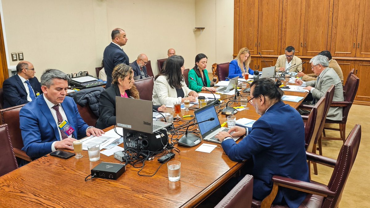 Hoy, en la Quinta Subcomisión Mixta de Presupuesto —compuesta por senadores y diputados—, la ministra (s) Suina Chahuán presentó la ejecución presupuestaria 2025 y el presupuesto proyectado para 2026.