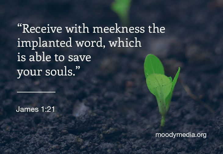 Pastor Lutzer instructs us to receive the Bible as a word from outside of ourselves. Let’s not just hear God’s Word to learn, but to be changed forever. | Today's 25-minute Running To Win program: buff.ly/z06mY46