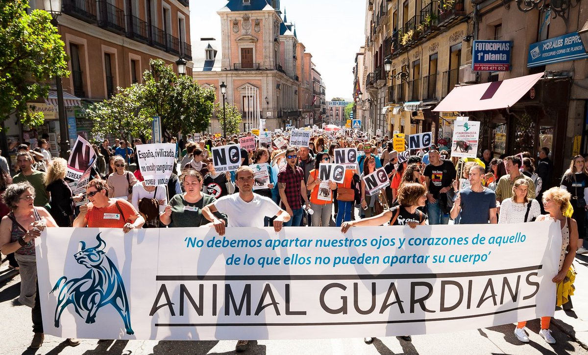 El <a href="/PSOE/">PSOE</a> vota contra los valores que dice defender. No hay coherencia en proteger la violencia hacia los animales. <a href="/sanchezcastejon/">Pedro Sánchez</a> #PedroCalló700MilVoces