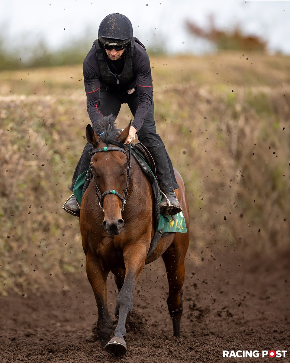 RacingPost's tweet image. Willie Mullins has confirmed he is plotting a route to the King George for both FACT TO FILE and GAELIC WARRIOR 👀