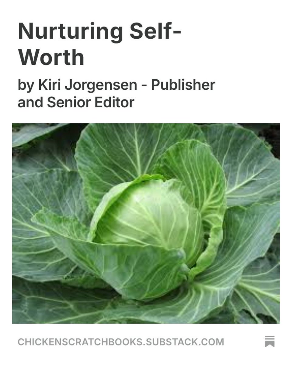 CSBooks4's tweet image. It&apos;s Wednesday so we&apos;re talking about self-worth on Substack today. 
Join us and share your thoughts!
Subscribing is free and the link is in our bio.