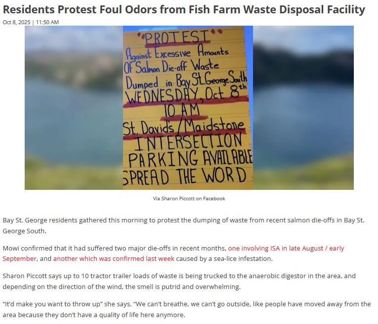 TheGAAIA's tweet photo. Residents Protest Foul Odors from Fish Farm Waste Disposal Facility @MowiCanadaEast @VOCMNEWS
https://t.co/F5WZgTPPTk #Mowi
“It’d make you want to throw up. We can’t breathe, we can’t go outside, like people have moved away from the area” https://t.co/uQpdTlviCI