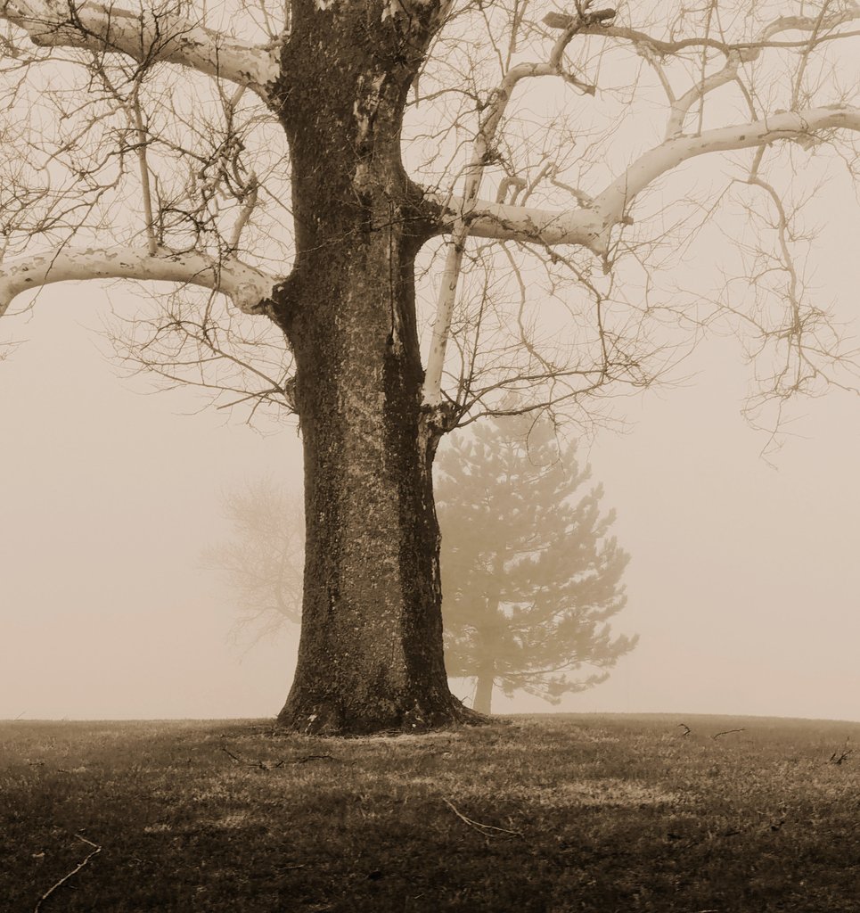 billiesucher's tweet image. &quot;The best thinking has been done in solitude.&quot; 
– Thomas A. Edison 
#life  #jobsearch
