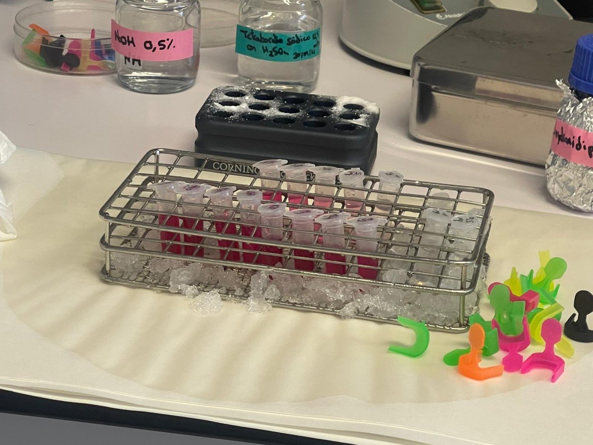 Hoy ha tocado repetir protocolos de mi tesis para un nuevo paper. Donde el color rosa es el mejor resultado esperado y visualizado. 🩷