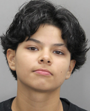 🚨ARREST MADE🚨

Two suspects — incl. an 18 y/o — have been arrested after fireworks were launched at Vienna PD officers during a Sept. 26 incident.

Full charges + details here ➡️bit.ly/VPDMcDonaldsFi… 
<a href="/TownofViennaVA/">Town of Vienna, VA</a> <a href="/fcpsnews/">Fairfax Schools 🌟</a> <a href="/fairfaxsheriff/">Fairfax Sheriff</a>  <a href="/fairfaxcounty/">Fairfax County Government 🇺🇸</a> <a href="/FairfaxCountyPD/">Fairfax County Police</a>