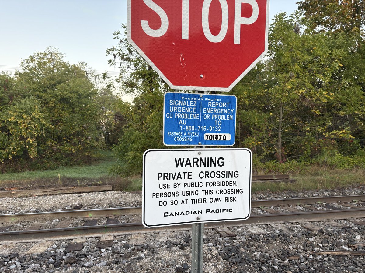 Virginia Janssen tweet media