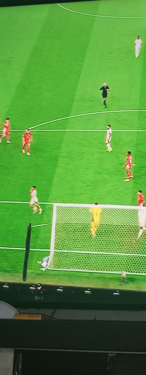 Sayuri ganti #GarudaMendunia