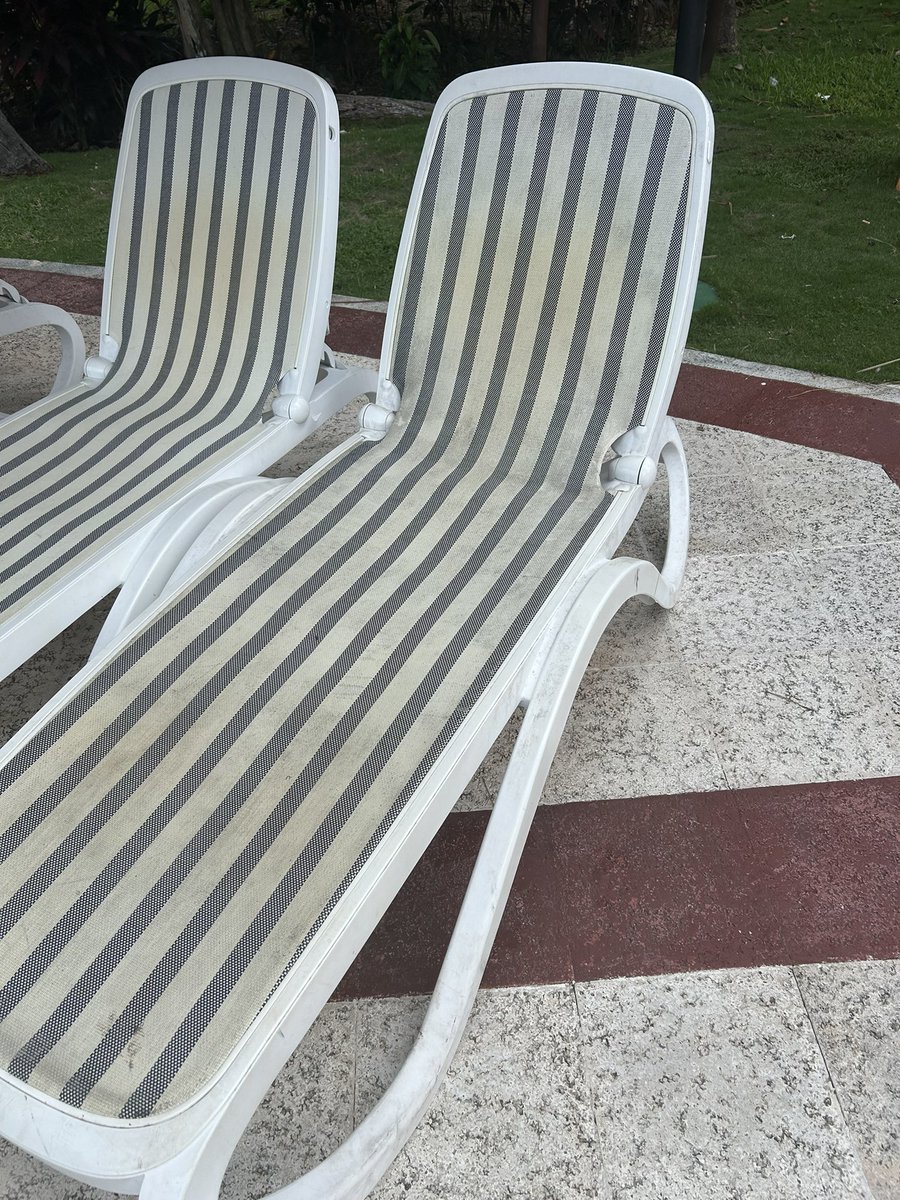 Mrs_Fapps! tweet media