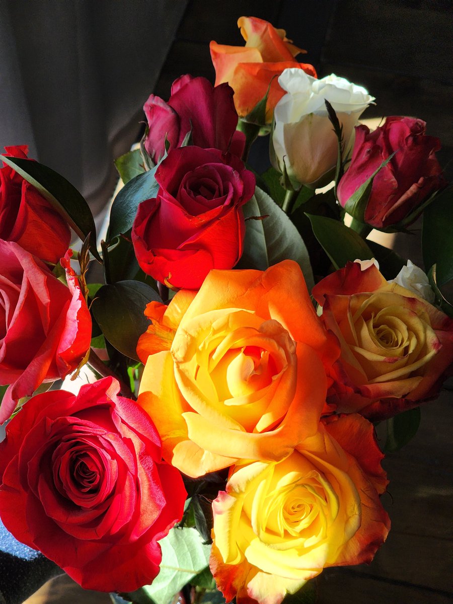 HJinx88's tweet photo. Thank you so much, @Chewy! I’m always telling people how incredible your customer service is. You’ve reached out several times just to check on me since my sweet little dog crossed the #RainbowBridge &amp; these flowers are absolutely beautiful. #missyoualways #madison #sweetyorkie https://t.co/3cMQyDq1oa