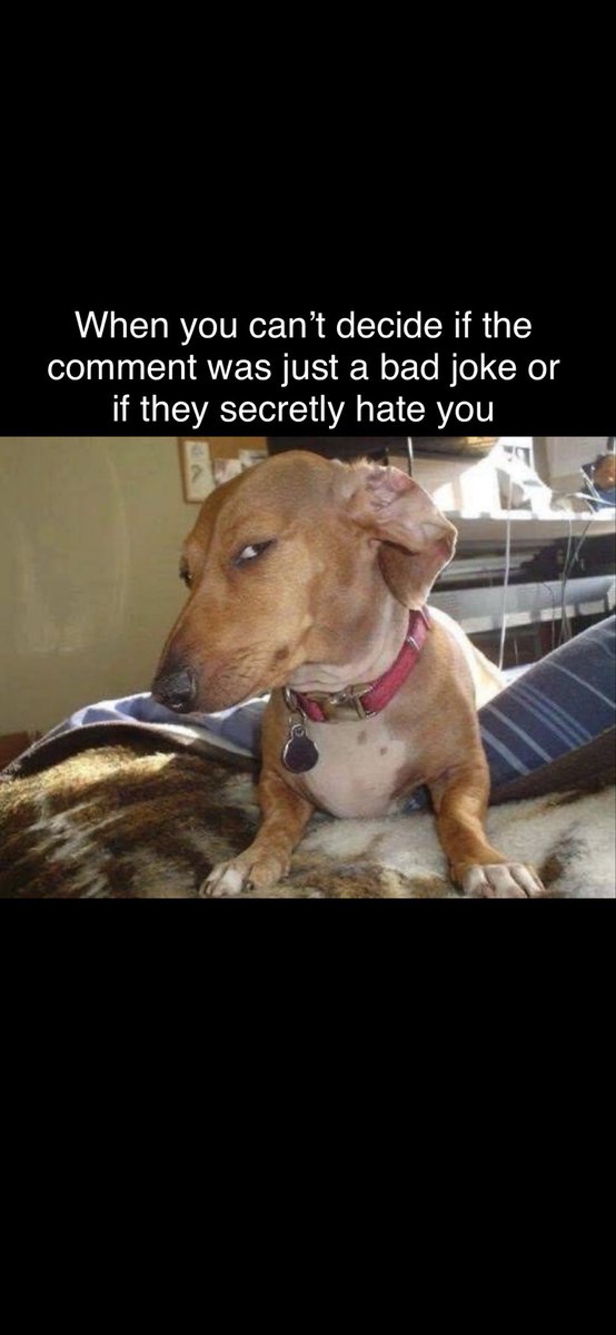 Breaking Taboo tweet media