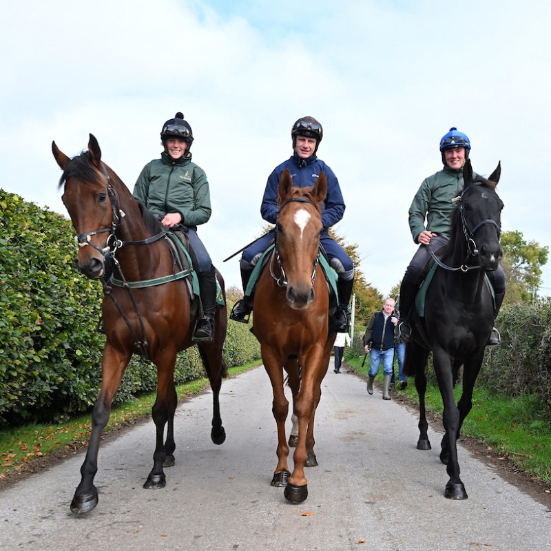 RacingTV's tweet photo. A terrific trio . . . Nick Rockett, State Man and Galopin Des Champs stroll together at Closutton today. Read what Willie Mullins has to say about the trio and many more 👇