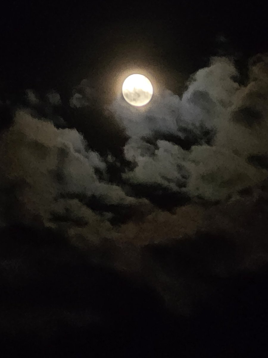 "Kendimi özgür bırakacağım, kaldırımlarda oturup kahve içeceğim. Hayal kuracağım; zihnimi demir kafesinden çıkarıp yüzmesine izin vereceğim... bu güzel Ekim’de." 

#VirginiaWoolf #dolunay #Geceye 
#geceyebirsoez #iyigeceler