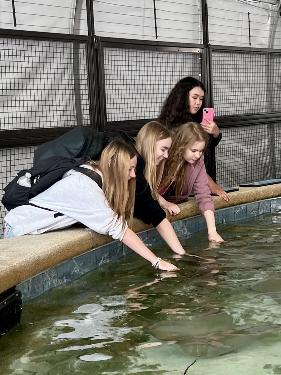 Jennifer Orbe tweet media