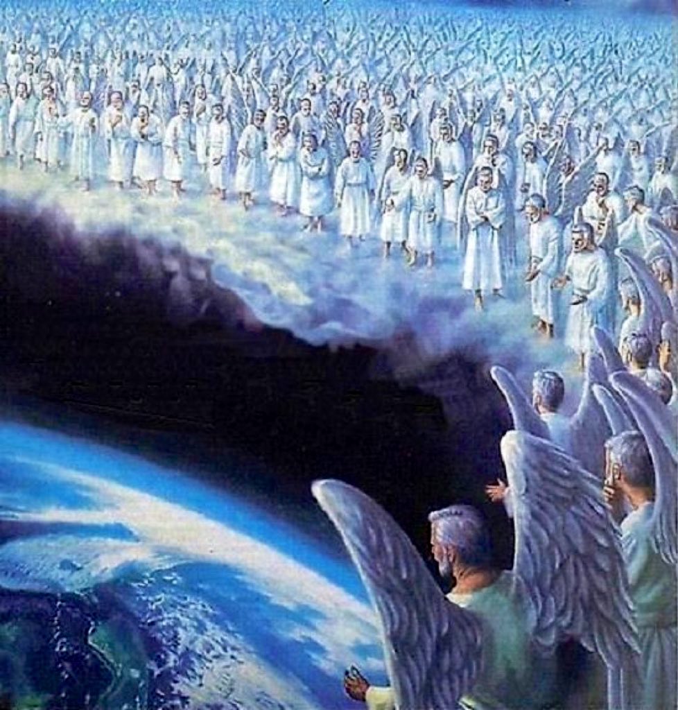 your entire bloodline telling you to bid the bottom of good solana memes