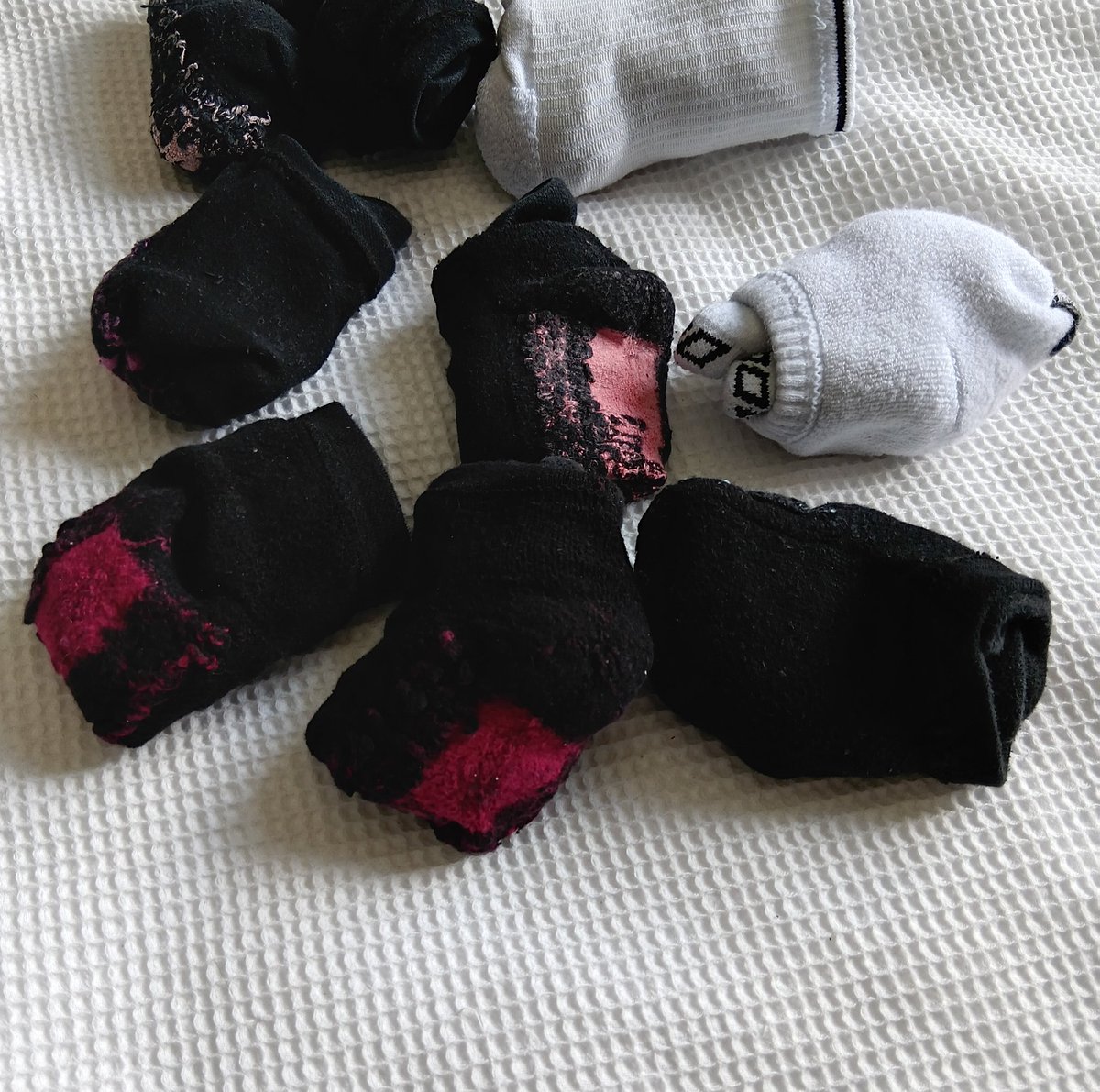 KiwiBiohacker's tweet image. 9 October: In the #minimalistgame this morning, I am releasing #socks to the wilds of the charity store.
May they #livelongandprosper !
#declutter #minimalism #simplify