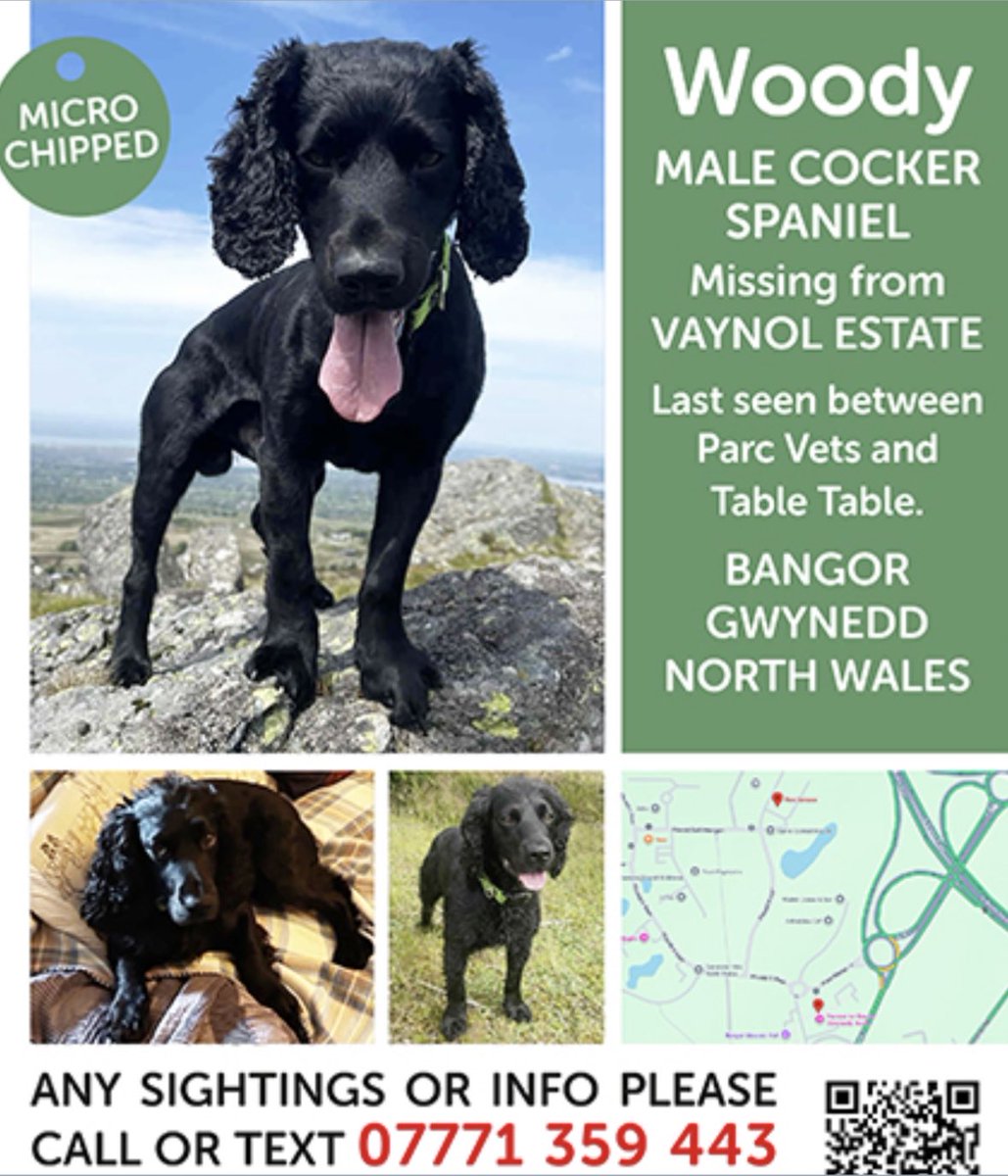 rosieDoc2's tweet image. #SpanielHour
WOODY male #Cocker missing from VAYNOL Estate WAS FOUND AND ESCAPED
#Bangor #Gwynedd
28/9/25 LL57
Black adult CHIPPED
WOODY WAS CAUGHT/TAKEN TO VETS BUT ESCAPED
“PARC PETCARE” PARC MENAI nr VAYNOL ESTATE
doglost.co.uk/dog/200264
@bangordailynews @GwyneddScouts