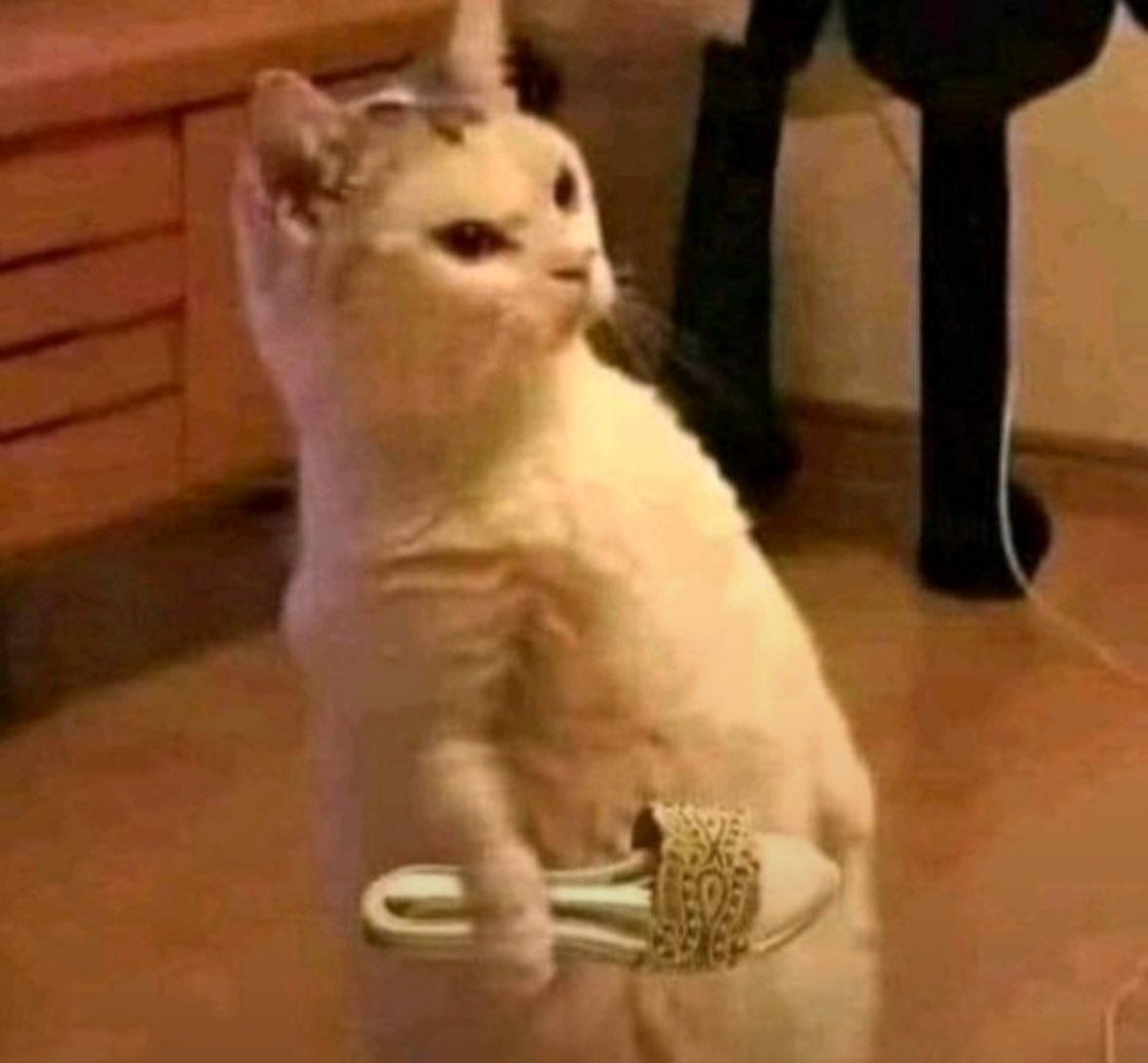 #المنتخب_السعودي 
الحكم تعال ابيك شوي