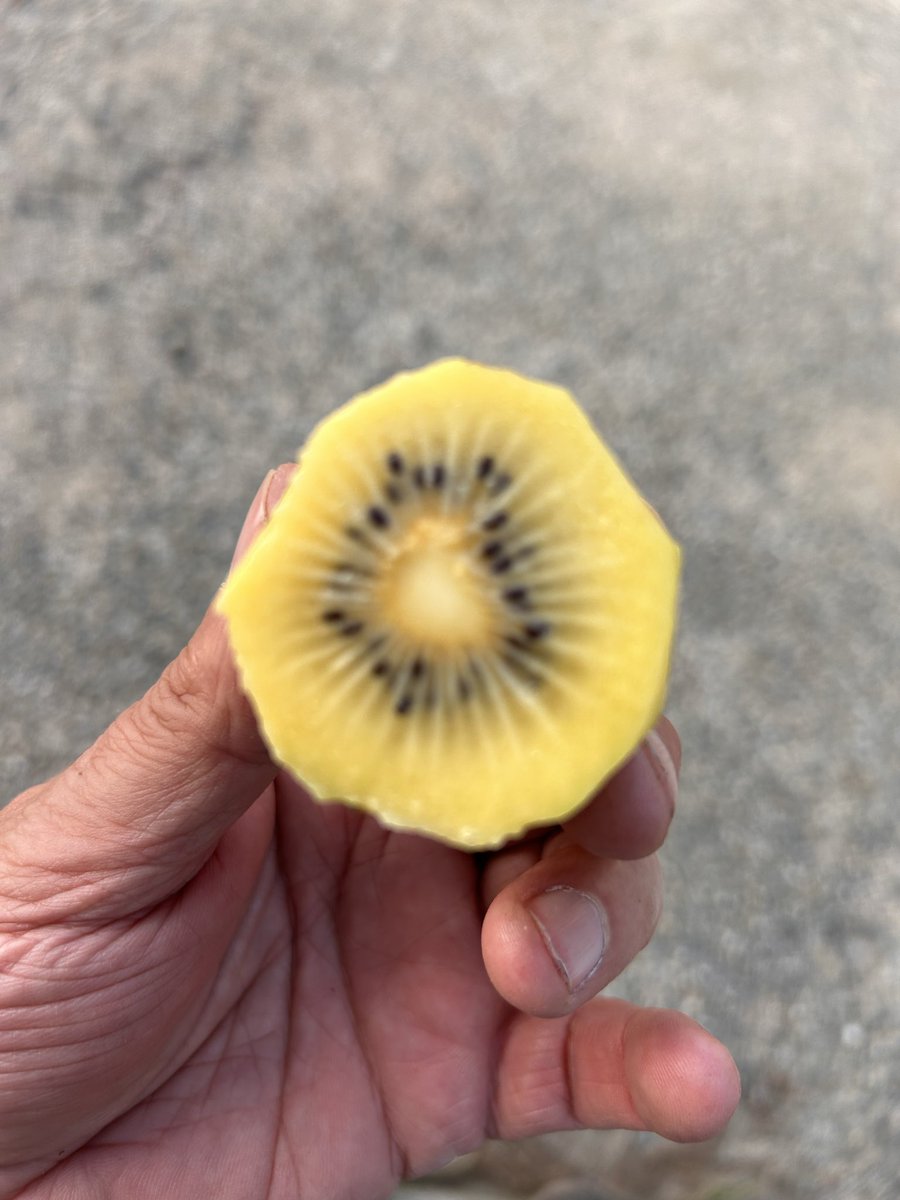 #Kikoka 😋😋😋