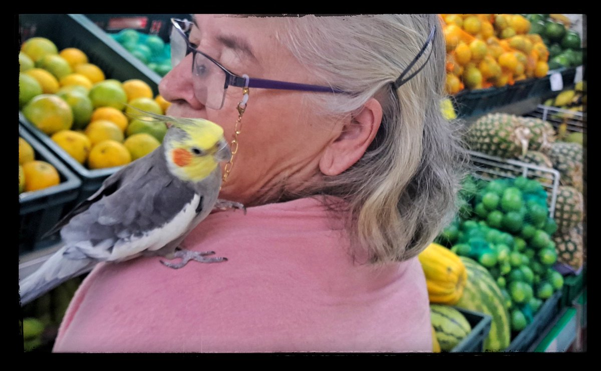 Tropical ● Photo: Christian EscobarMora - <a href="/ESCOBARMORA3/">CHRISTIAN ESCOBARMORA</a> 

202510
-
-
-

#Colombia #latinamerica #animal #photojournalism #photography 

@everydaylatinamerica @EverydayEverywhere
@everydayMacondo 

#ESCOBARMORA