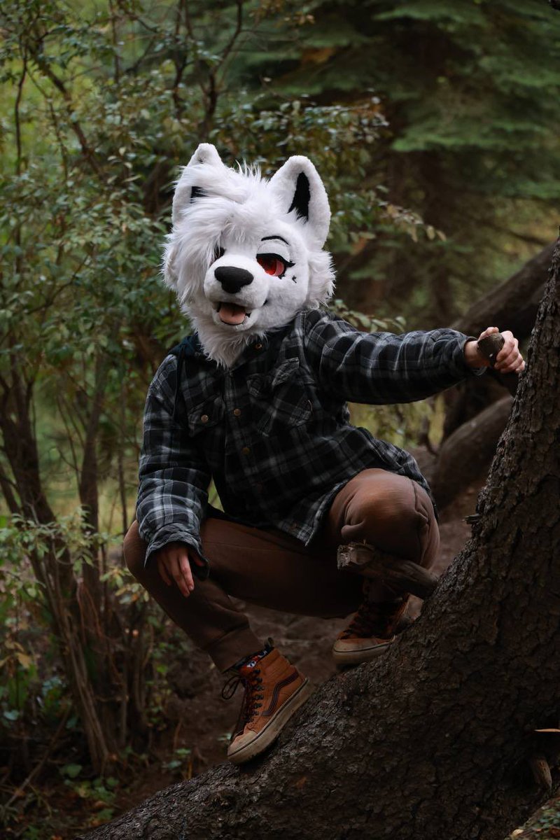 STAG ᛉ🥩🫍 @LVFC tweet media