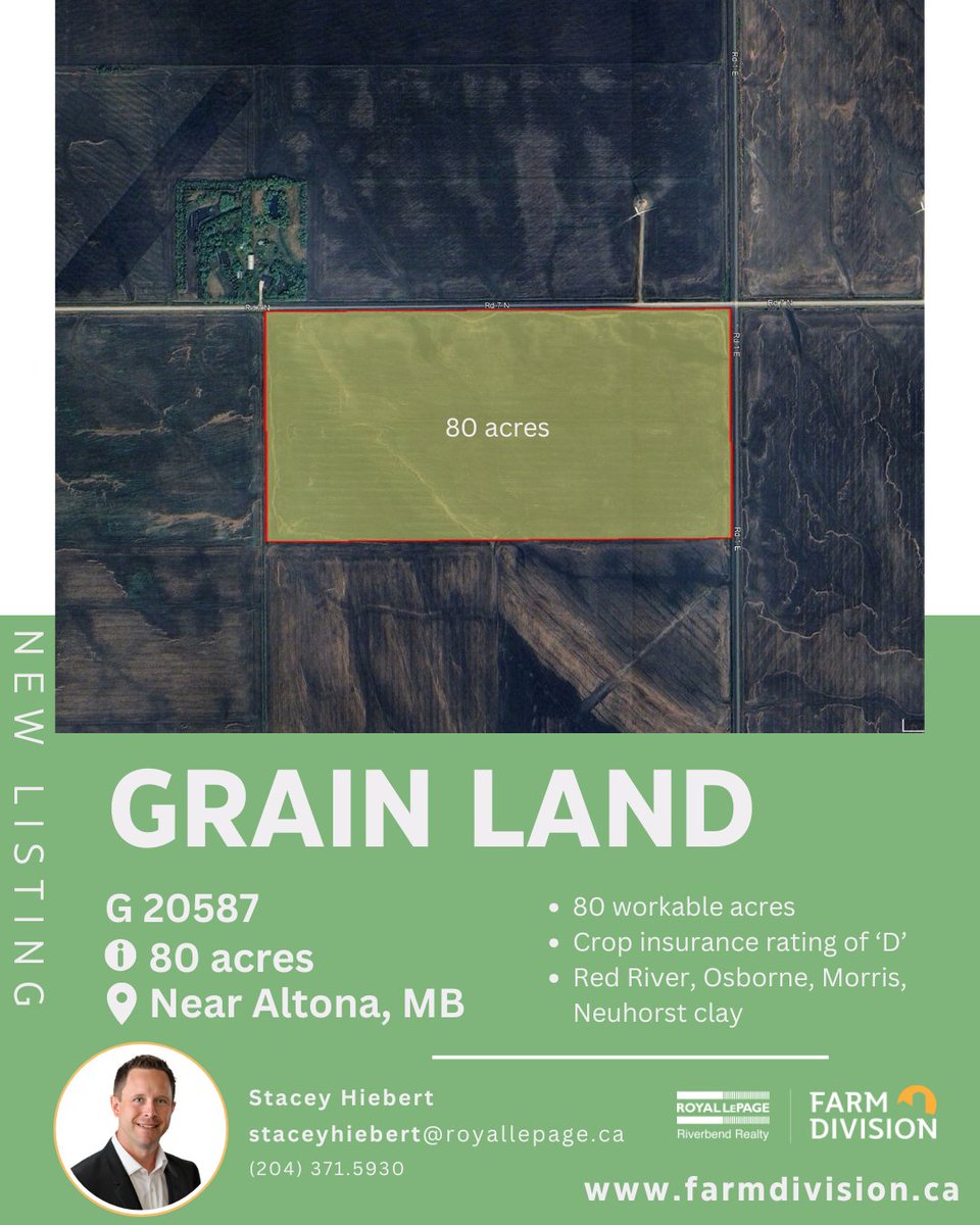 NEW 80 acre Grain listing near Altona, MB #yourfarmteam #wesellfarms #grainland …lepageriverbendrealtyfarmdivision.com/listings/20587…