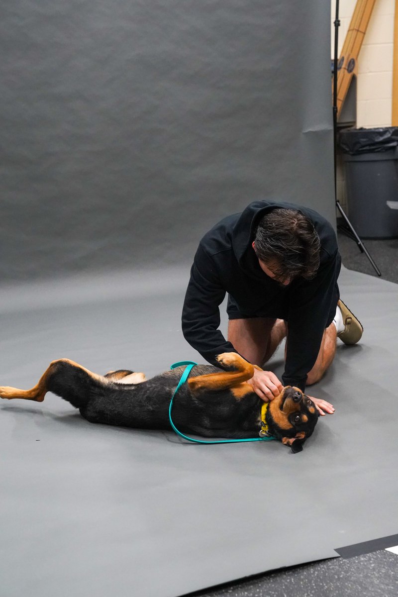 penguins's tweet image. Connor Dewar and Kassie... a love story 💛