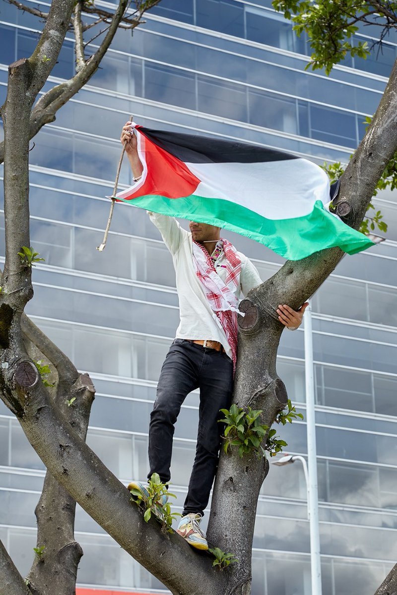 UTadeo CrossmediaLab tweet media