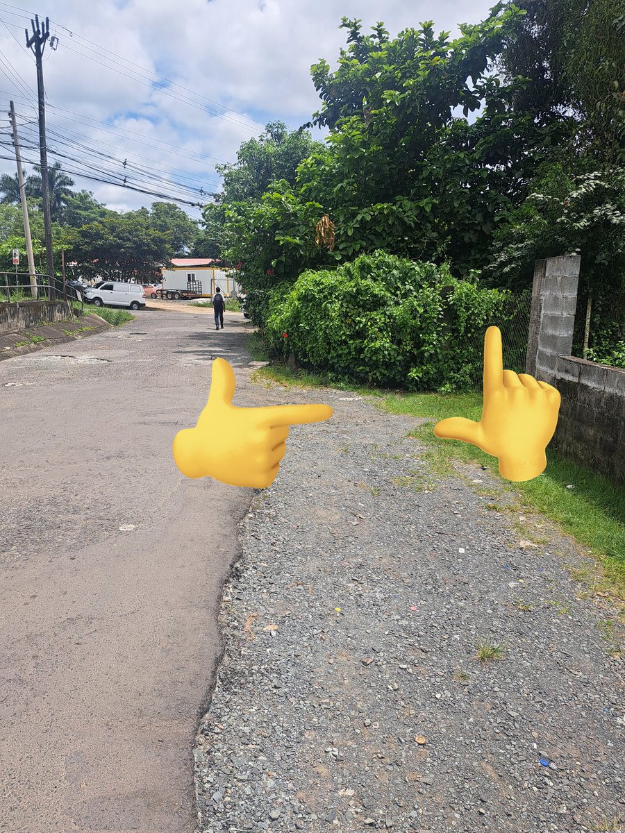 ALBERTO BARRERA tweet media