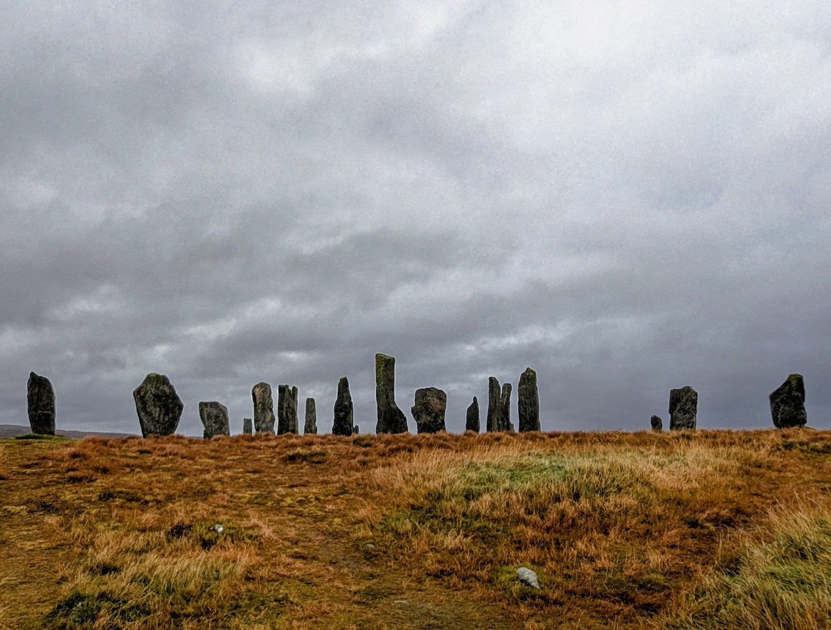 Annie O'Garra Worsley tweet media