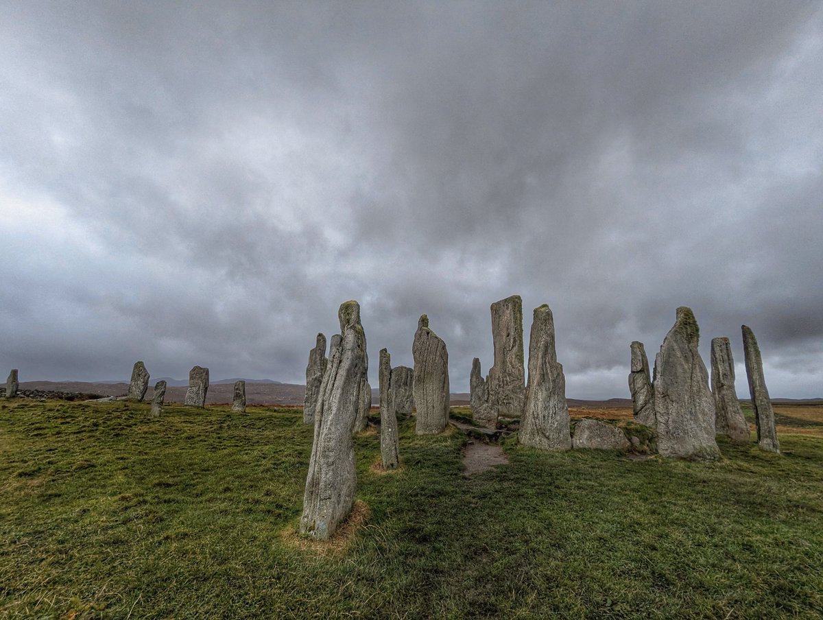 Annie O'Garra Worsley tweet media