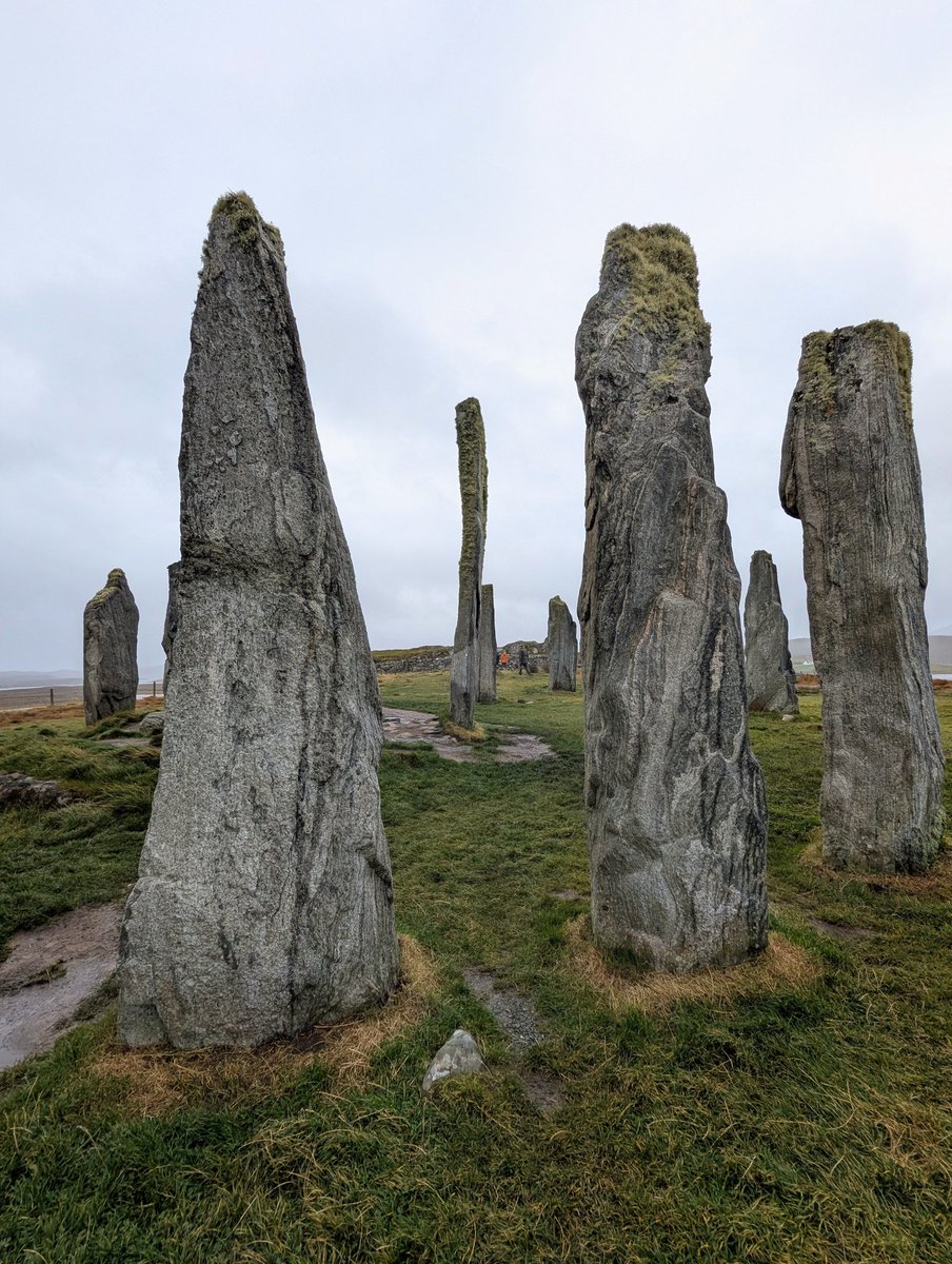 Annie O'Garra Worsley tweet media