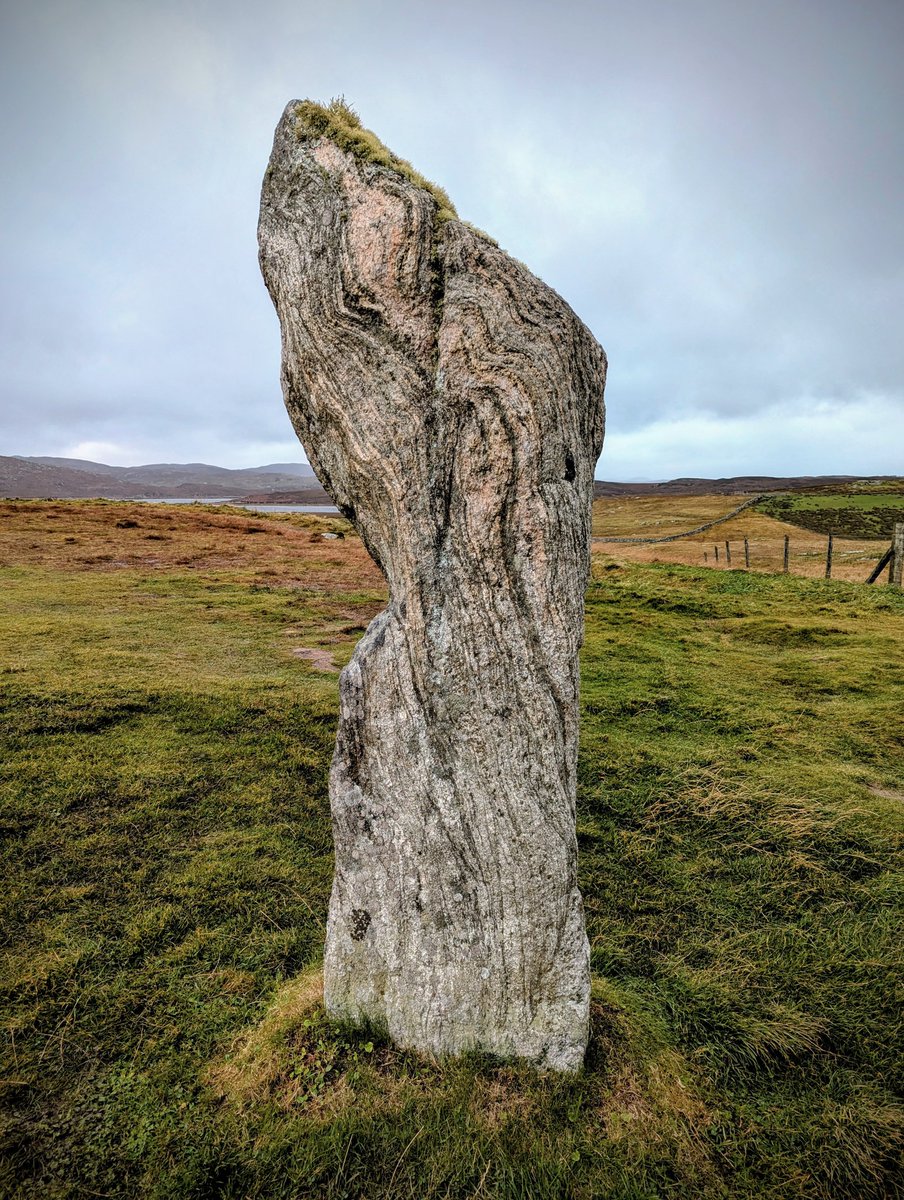 Annie O'Garra Worsley tweet media