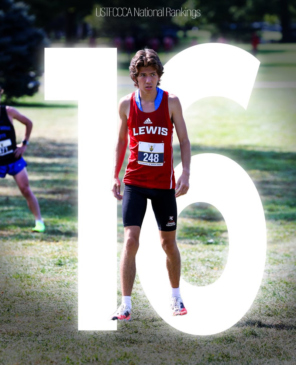 Lewis Men's XC tweet media