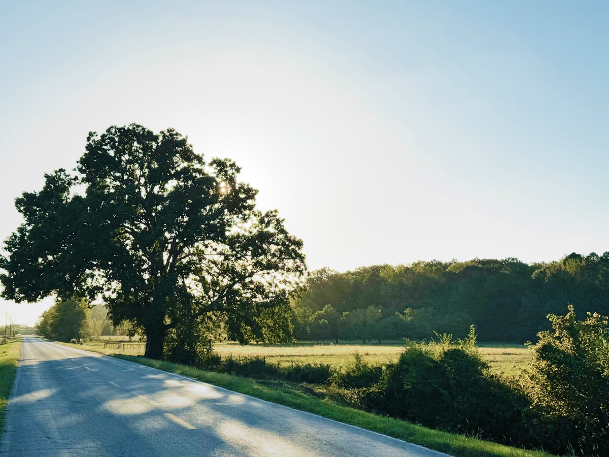 MerrickMcCool's tweet image. Hey, Oxford and Lafayette folks. Please make yourselves aware of the unlawful and ridiculous proposed rezoning of CR 328, threatening the Yocona River, Enid Lake, and the existence of Falkner Farms. Please ask your supervisors to vote NO on October 20!
save-taylor.com