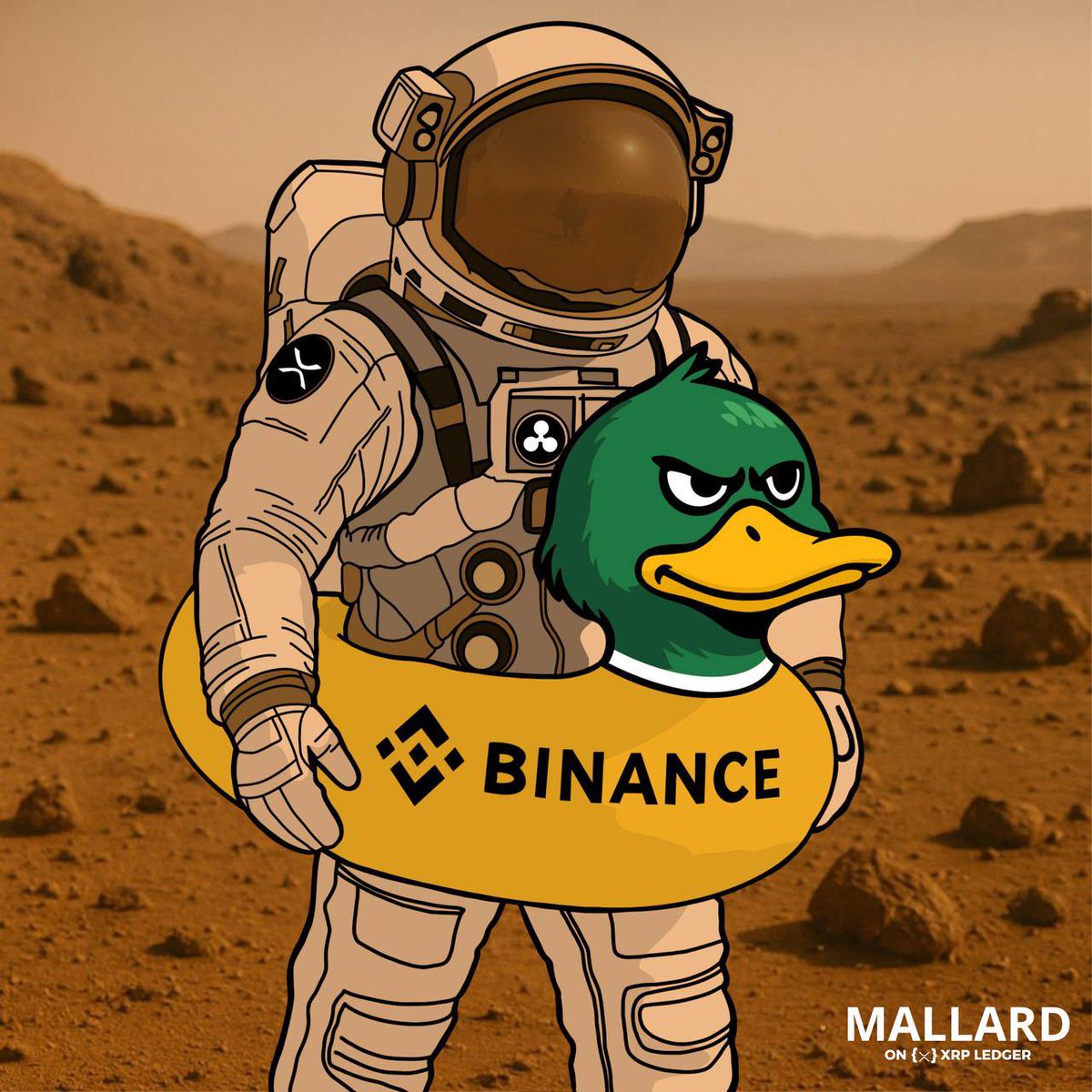 Mallard tweet media