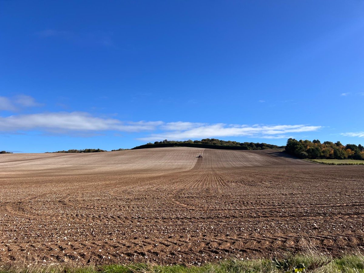 Me Billy no mates yesterday. 

Picture doesn’t do this hill justice, it’s a fair old haul up this one but absolutely perfect conditions to plant wheat this autumn (for a change!)