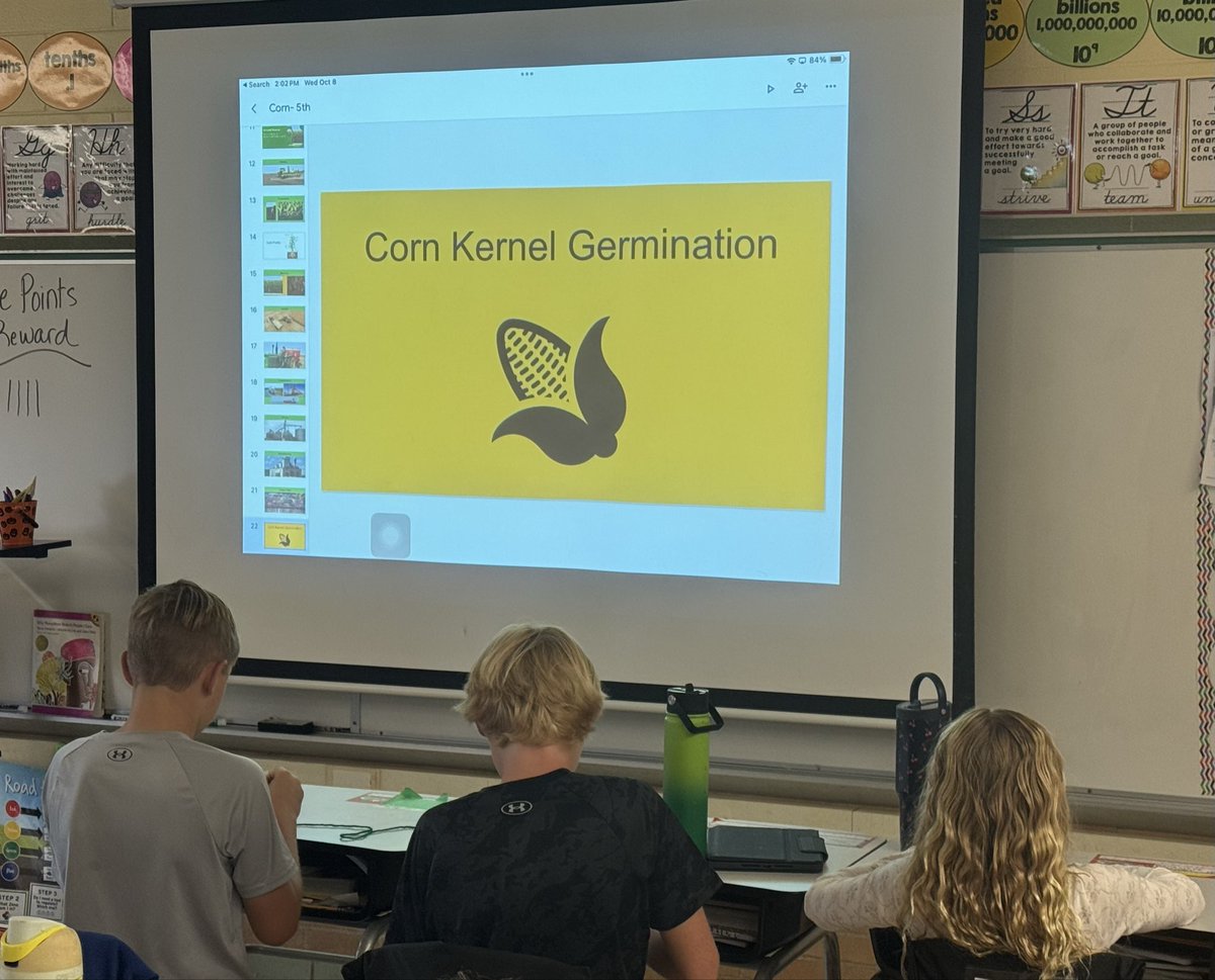 Lauren Snyder tweet media