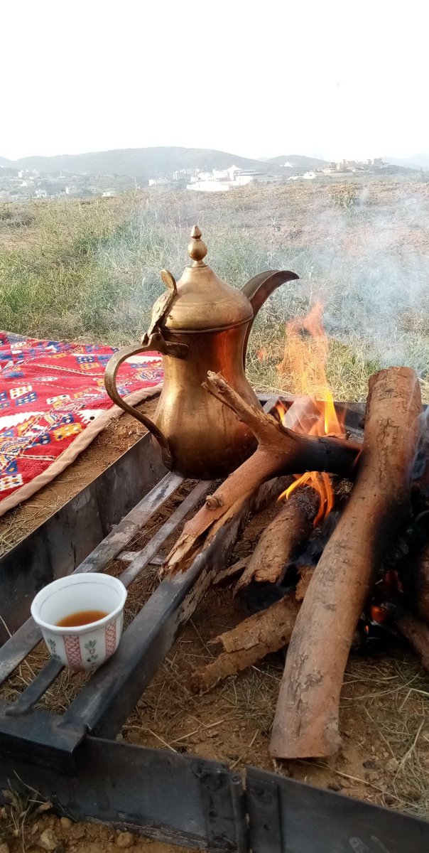 عمري الآن على مشارف الخمسين
و ما كنت اعرف عن  #يزيد_الرجحي 
إلا اسمه فقط
ولم اكن  اعرف عن ما يتبعه من محلات واثاث وملابس ومراكب وغيرها
 ولم اشتري من محل ما ذكر أنه له قط   
ليس مقاطعه ولكن تركت السرى خلفي لمن قل مالهُ..

والآن:

أنام ملء عيوني عن شواردها
ويسهر الخلق جراها ويختصمُ