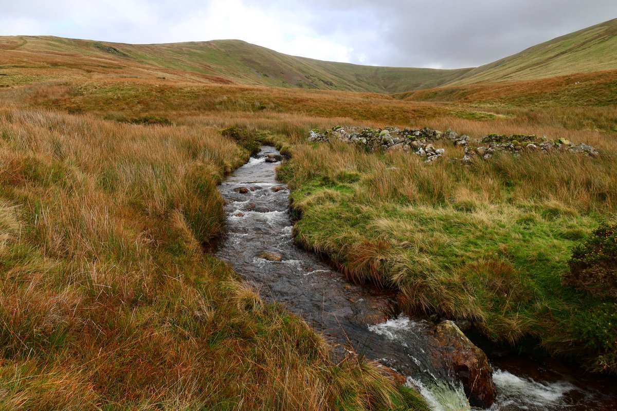 Nothing much to say about a walk to Whoap and Lank Rigg today, but it was nice to get out.