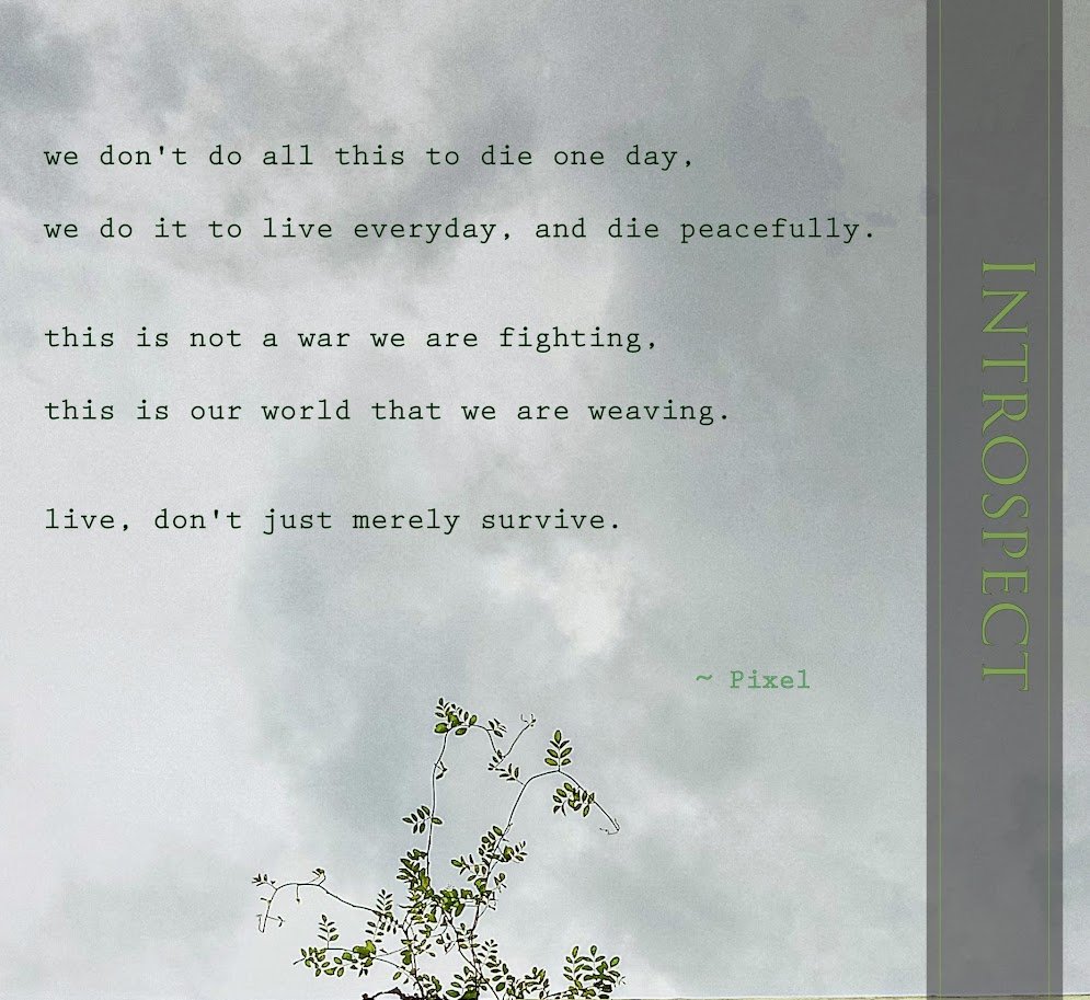 Introspect💚🕊️