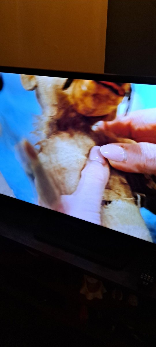 *viewer discretion advised -may contain scenes of a distressing nature*

Guys Guys the teddy bear ladies are at it again!