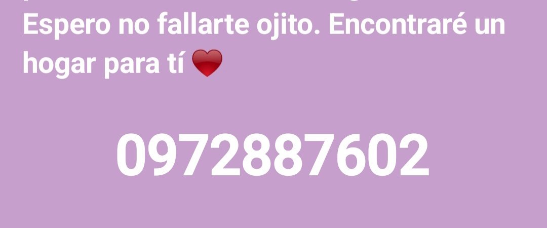 Nani👁 tweet media