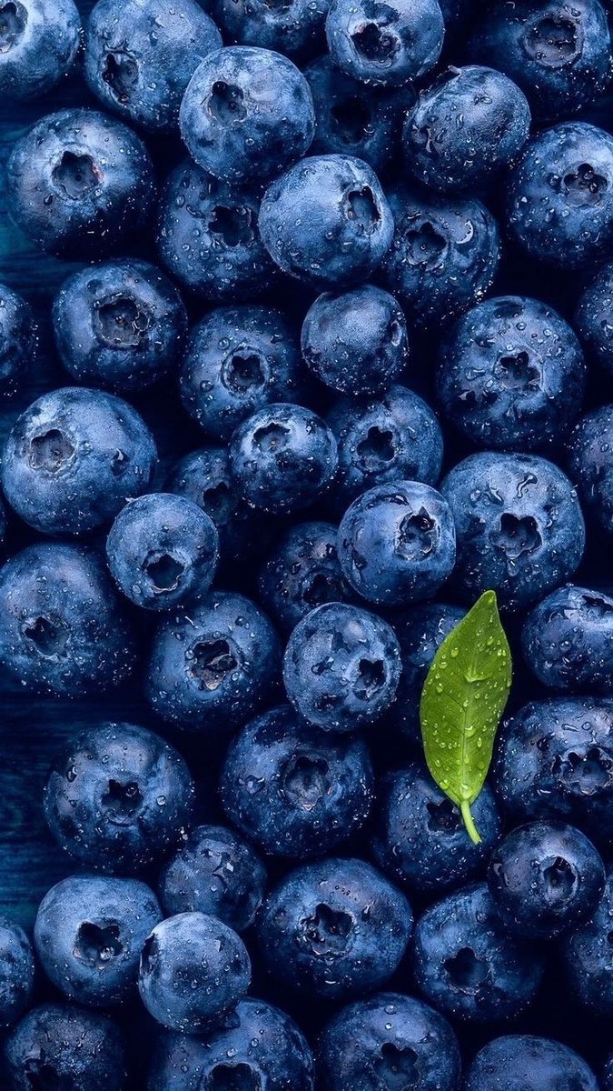 blue dream (@bluedreamvibes) on Twitter photo 