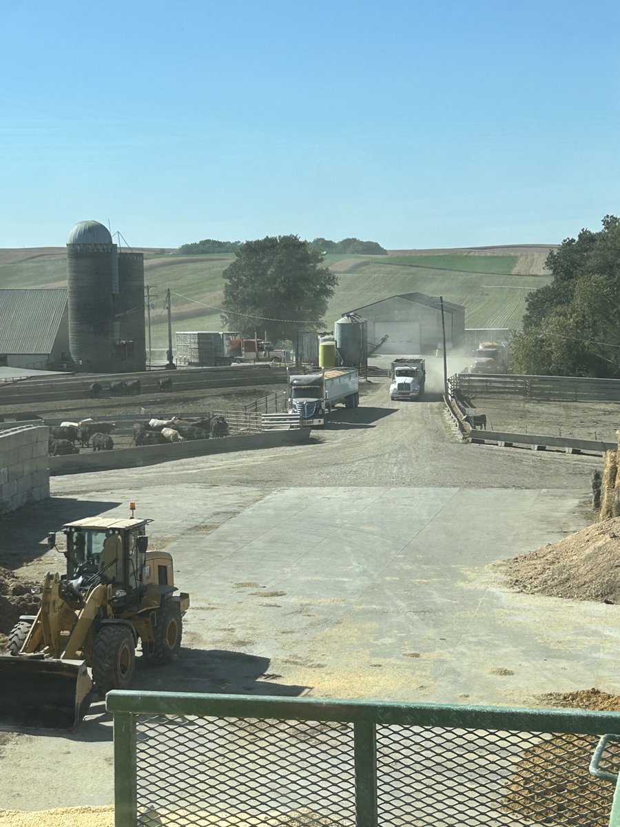 ⁦<a href="/TrentRus/">Pud Rus</a>⁩ helpin me bring them NoDak feeders home today…⁦<a href="/KornKattle/">KornKattle</a>⁩ an empty pen is not an option