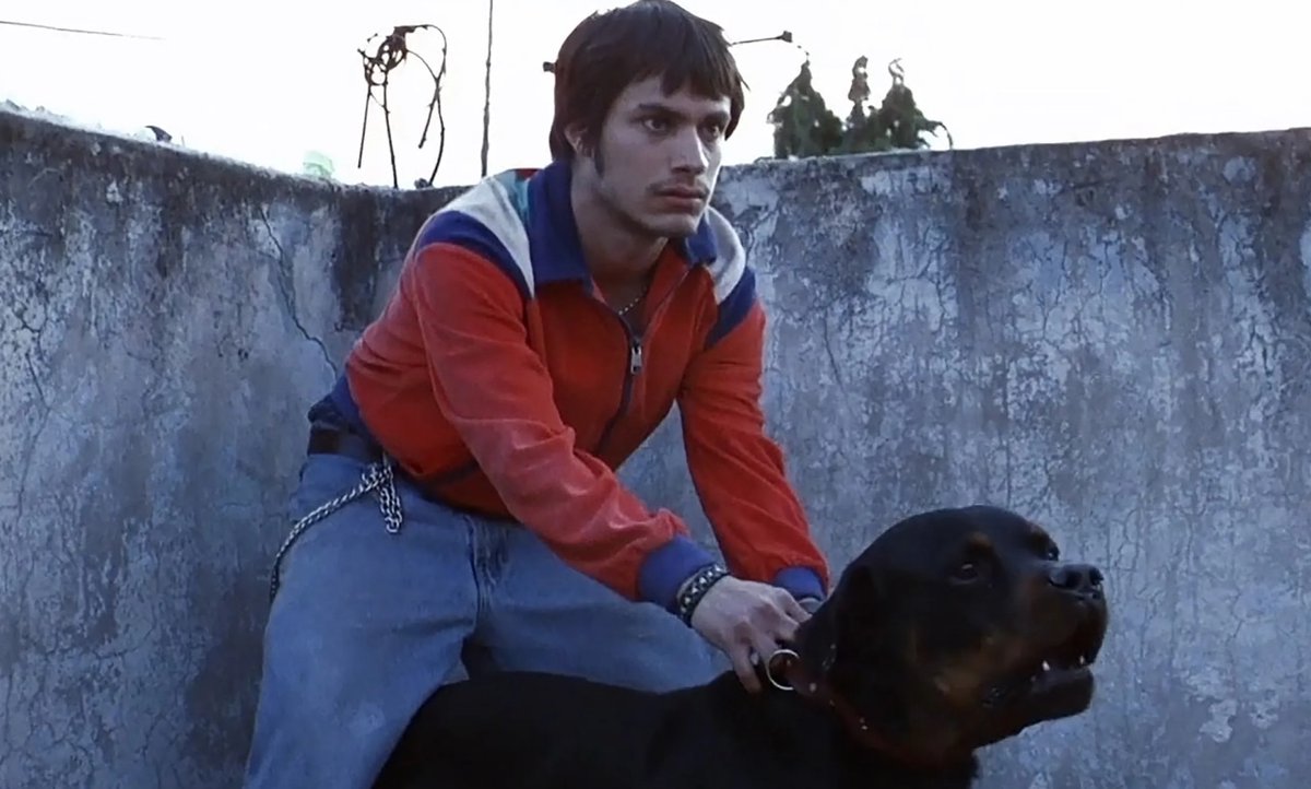 A 25 años de "Amores Perros" les comparto un texto que escribí hace un año sobre esa película, salinismo, y lo que no fue mariaguillengarzaramos.blogspot.com/2024/01/en-bus…